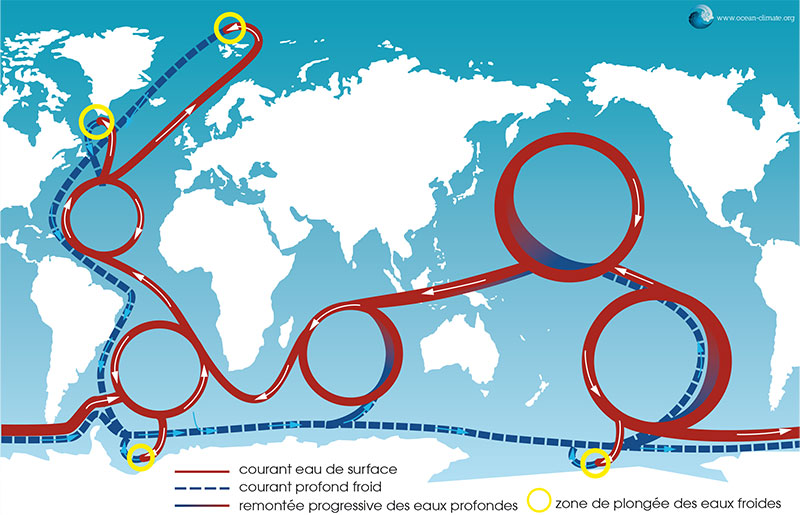 Climate org