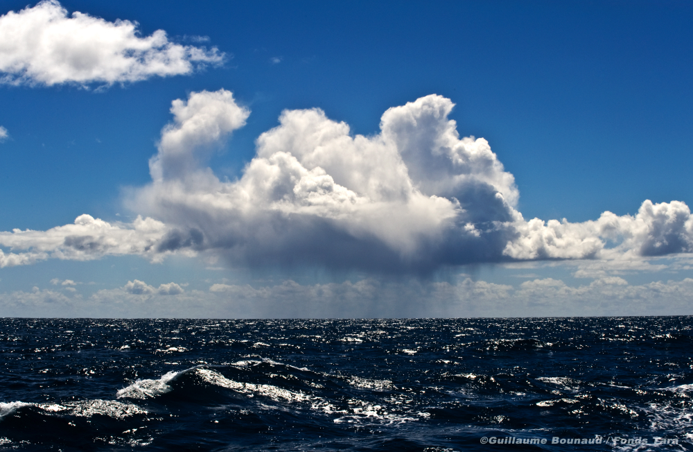 Индийский океан ветер. Атлантический океан. Тихий океан. Климат мирового океана. Влияние мирового океана.