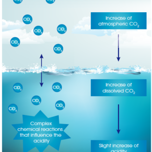 Raising awareness - Ocean & Climate Platform