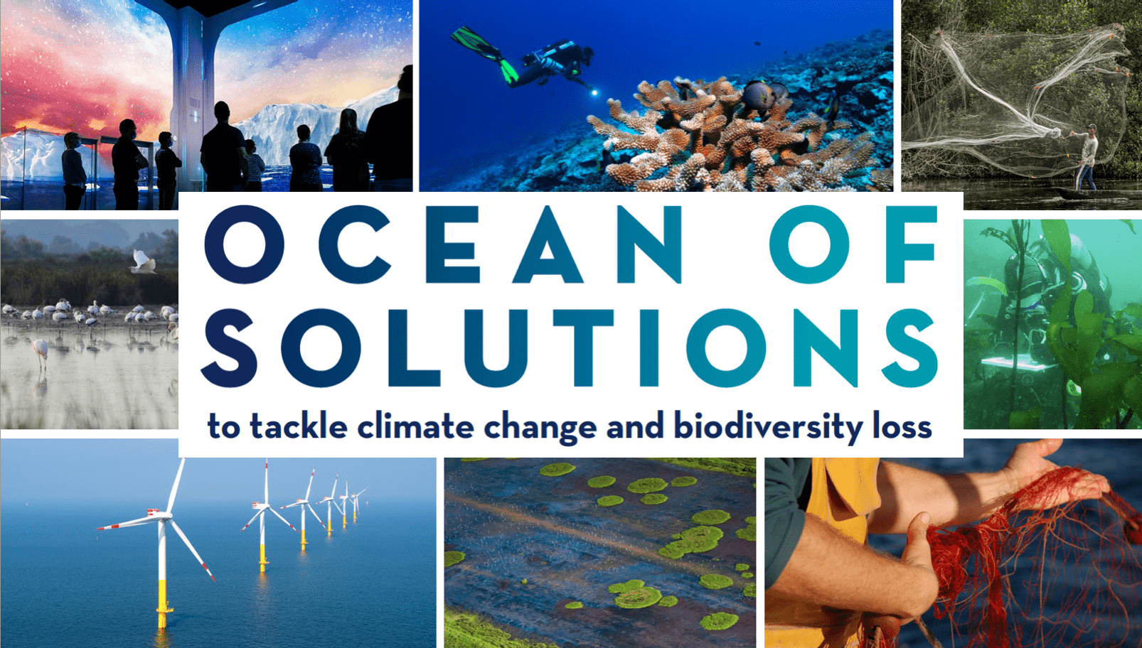 Sustainability, Tackling Climate Change and Biodiversity