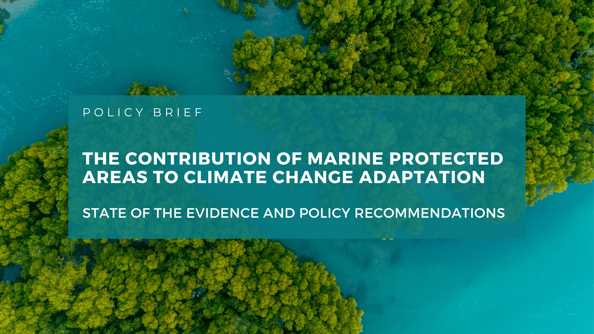 Policy Brief – The Contribution of Marine Protected Areas to Climate Change  Adaptation, State of the Evidence and Policy Recommendations - Ocean &  Climate Platform