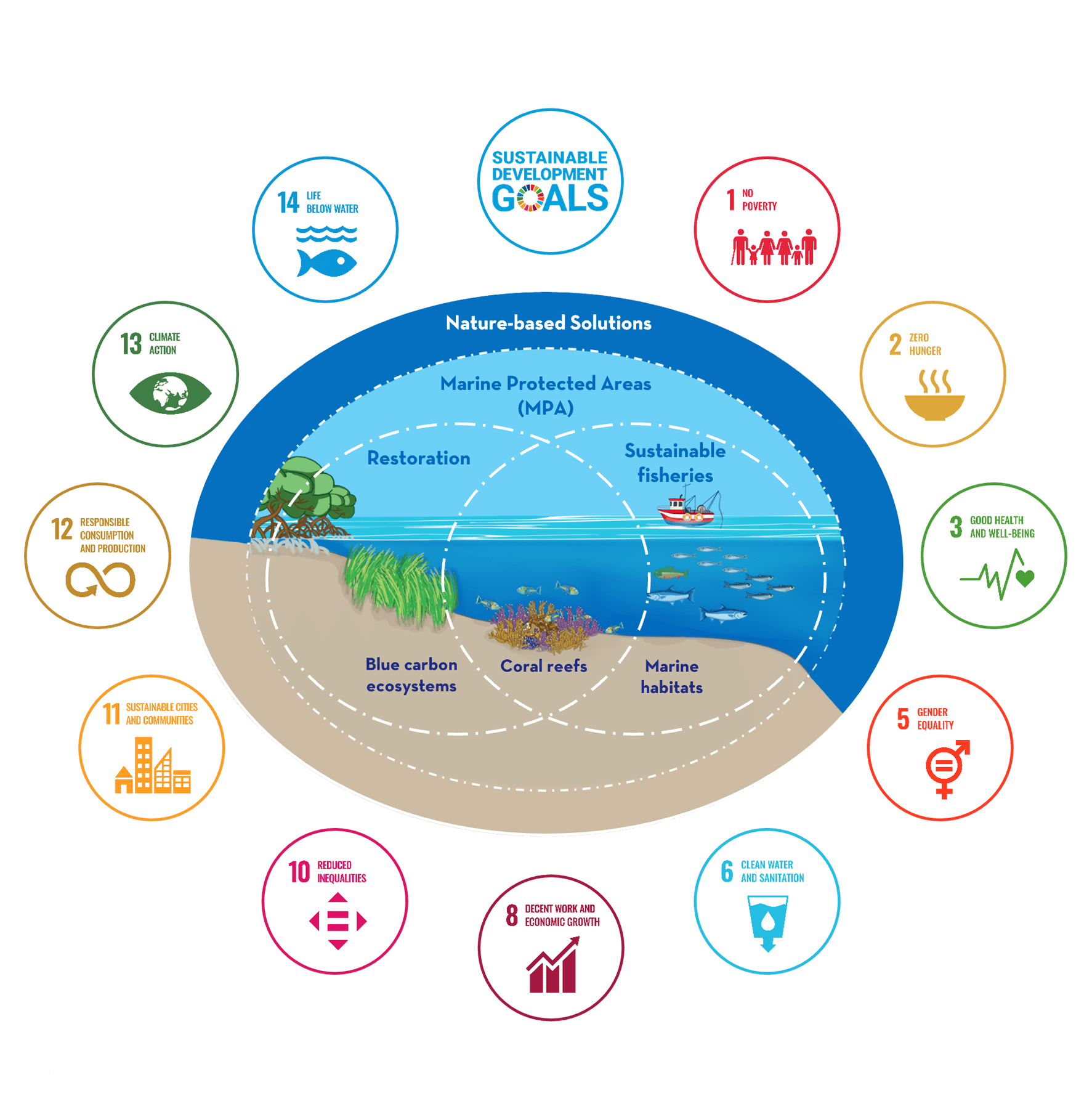 what-ocean-for-tomorrow-marine-ecosystems-in-a-changing-climate